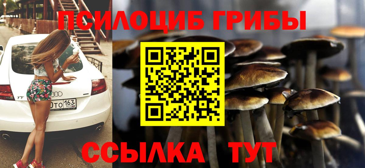 Псилоцибиновые грибы MAGIC MUSHROOMS  Вход с VPN  Галлюциногенные грибы Psilocybe  Наро-Фоминск 