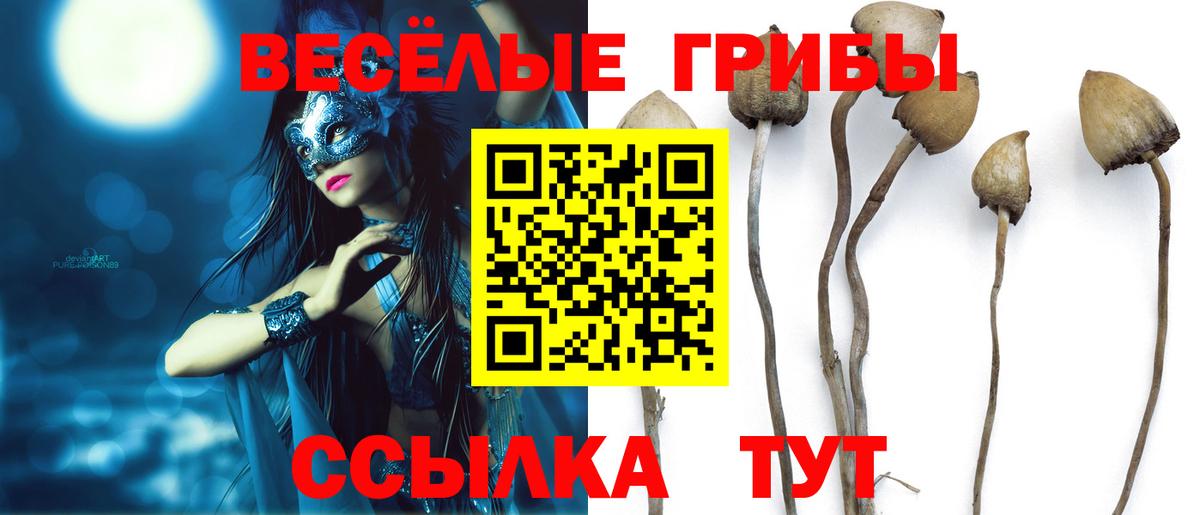 Галлюциногенные грибы ЛСД Наро-Фоминск